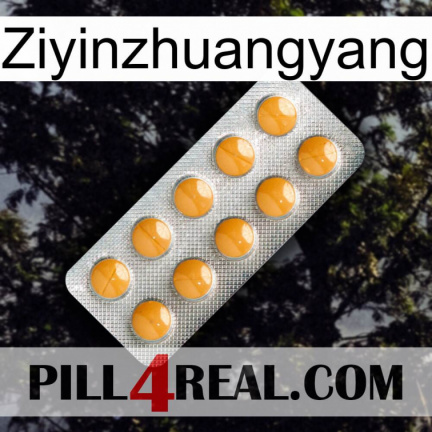 Ziyinzhuangyang levitra1